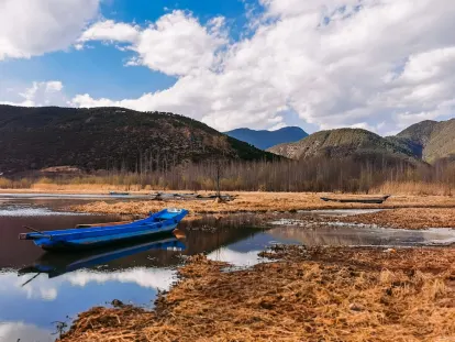 بيغ وينز كازينو تطبيق الهاتف المحمول